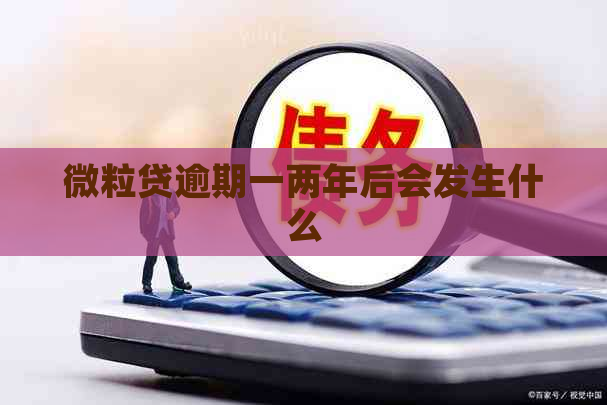 微粒贷逾期一两年后会发生什么