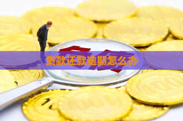贷款还款逾期怎么办