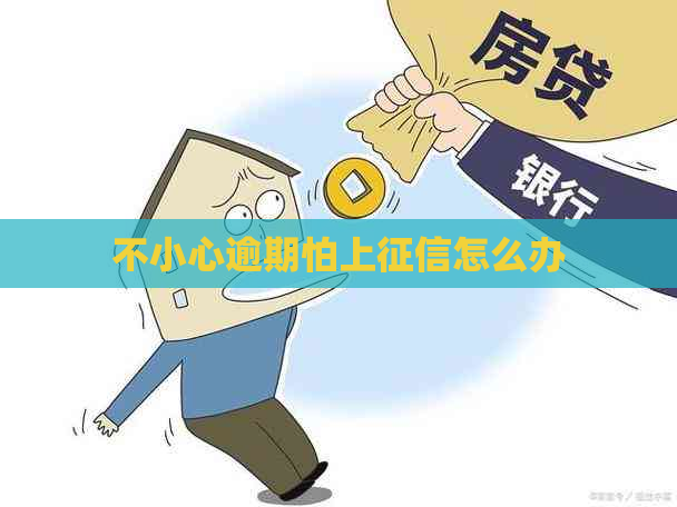 不小心逾期怕上怎么办