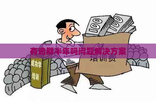 有逾期半年吗问题解决方案