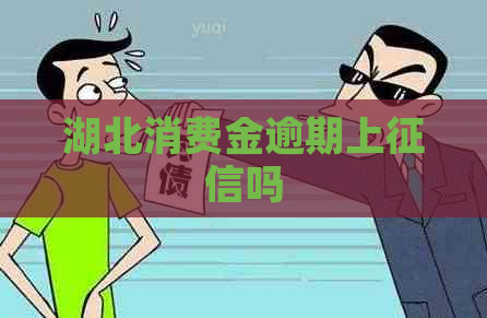 湖北消费金逾期上吗