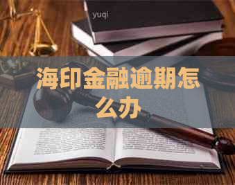 海印金融逾期怎么办