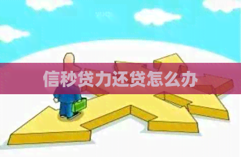 信秒贷力还贷怎么办
