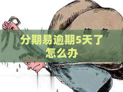 分期易逾期5天了怎么办