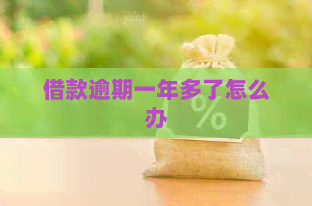 借款逾期一年多了怎么办