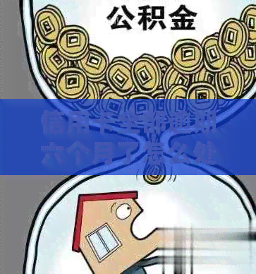信用卡全部逾期六个月了怎么处理