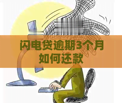 闪电贷逾期3个月如何还款
