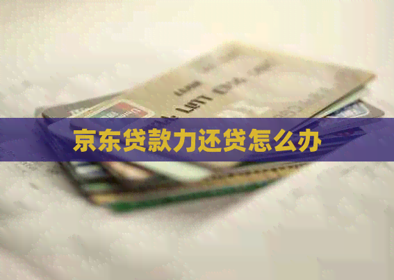 京东贷款力还贷怎么办