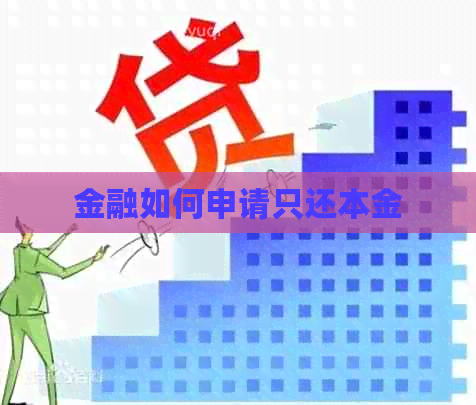 金融如何申请只还本金