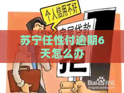 苏宁任性付逾期6天怎么办