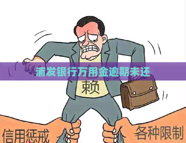 浦发银行万用金逾期未还
