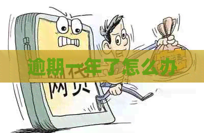 逾期一年了怎么办
