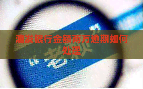 浦发银行金额两万逾期如何处理