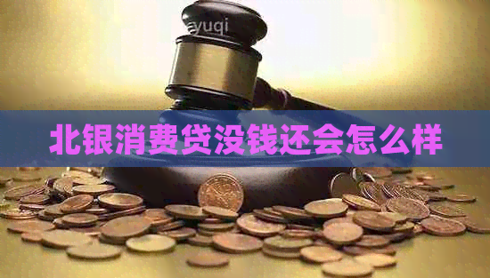 北银消费贷没钱还会怎么样