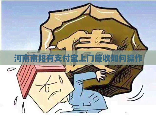 河南南阳有信用卡上门如何操作