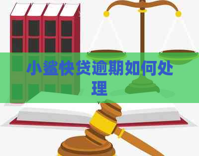 小鲨快贷逾期如何处理