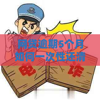 网贷逾期5个月如何一次性还清