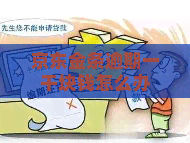 京东金条逾期一千块钱怎么办