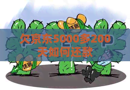 欠京东5000多200天如何还款