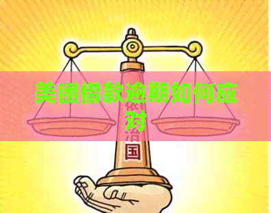美团借款逾期如何应对