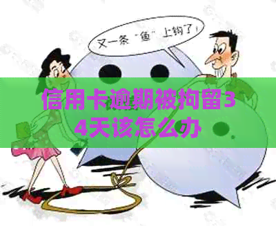 信用卡逾期被拘留34天该怎么办
