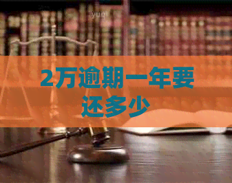 2万逾期一年要还多少