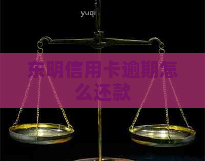 东明信用卡逾期怎么还款