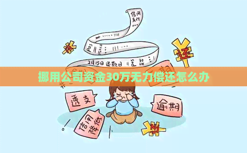 挪用公司资金30万无力偿还怎么办