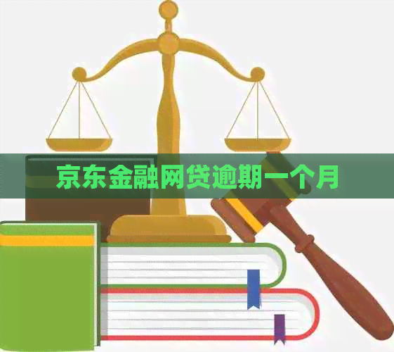 京东金融网贷逾期一个月