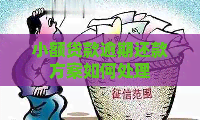 小额贷款逾期还款方案如何处理