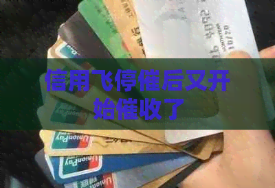 信用飞停催后又开始了