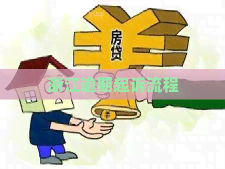 浙江逾期起诉流程