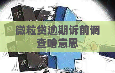 微粒贷逾期诉前调查啥意思