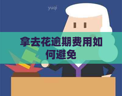 拿去花逾期费用如何避免