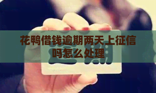 花鸭借钱逾期两天上吗怎么处理