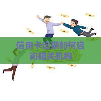 信用卡逾期如何咨询相关机构