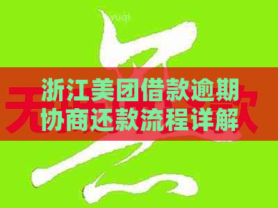 浙江美团借款逾期协商还款流程详解