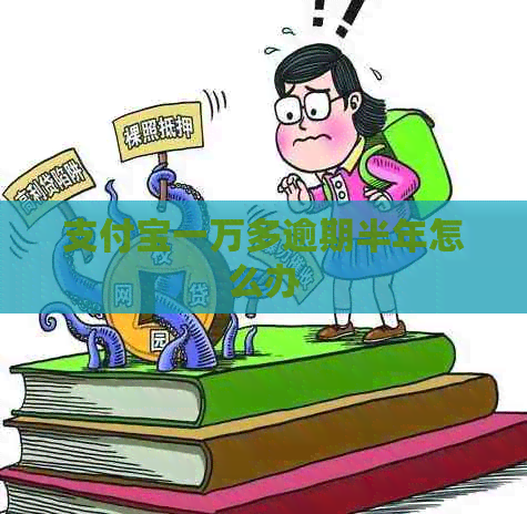 信用卡一万多逾期半年怎么办