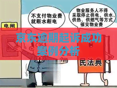 京东逾期起诉成功案例分析