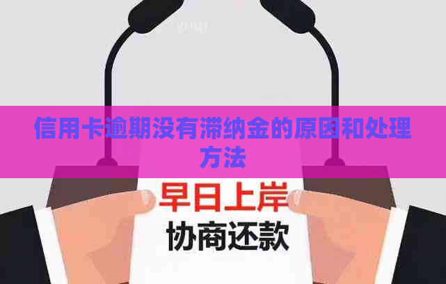 信用卡逾期没有滞纳金的原因和处理方法