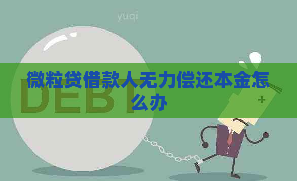 微粒贷借款人无力偿还本金怎么办