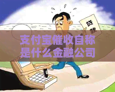 信用卡自称是什么金融公司