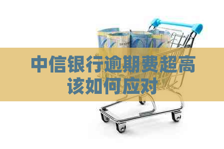 中信银行逾期费超高该如何应对