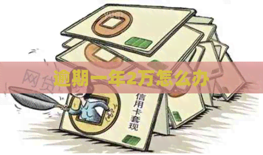 逾期一年2万怎么办