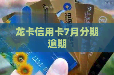 龙卡信用卡7月分期逾期