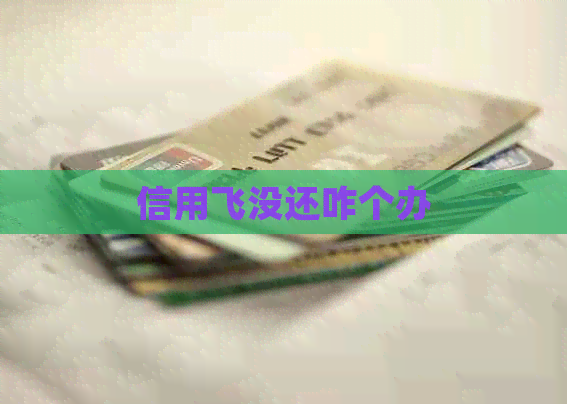 信用飞没还咋个办