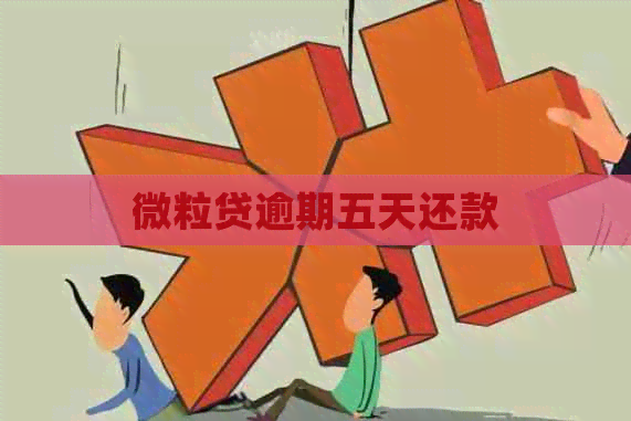 微粒贷逾期五天还款