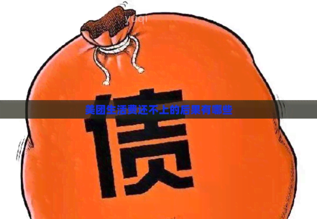 美团生活费还不上的后果有哪些