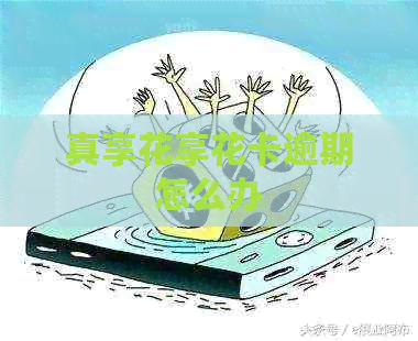 真享花享花卡逾期怎么办