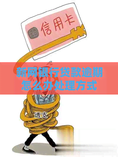 新网银行贷款逾期怎么办处理方式